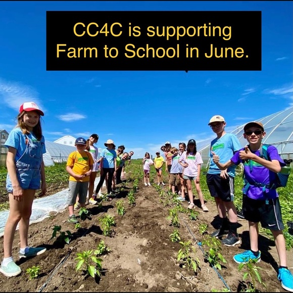 Donating 100% to local charities each month. - Picture 8 of 14